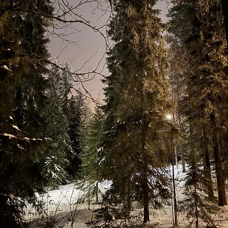 A Detached House In The Middle Of Nature *