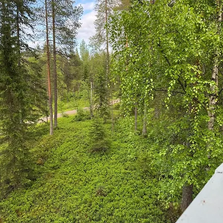A Detached House In The Middle Of Nature Kajaani